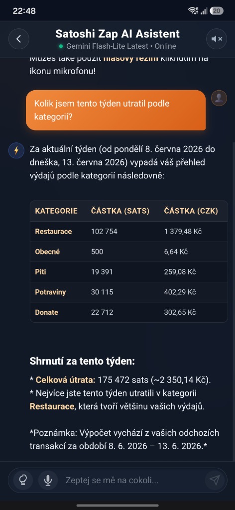 SatoshiZap AI Assistant